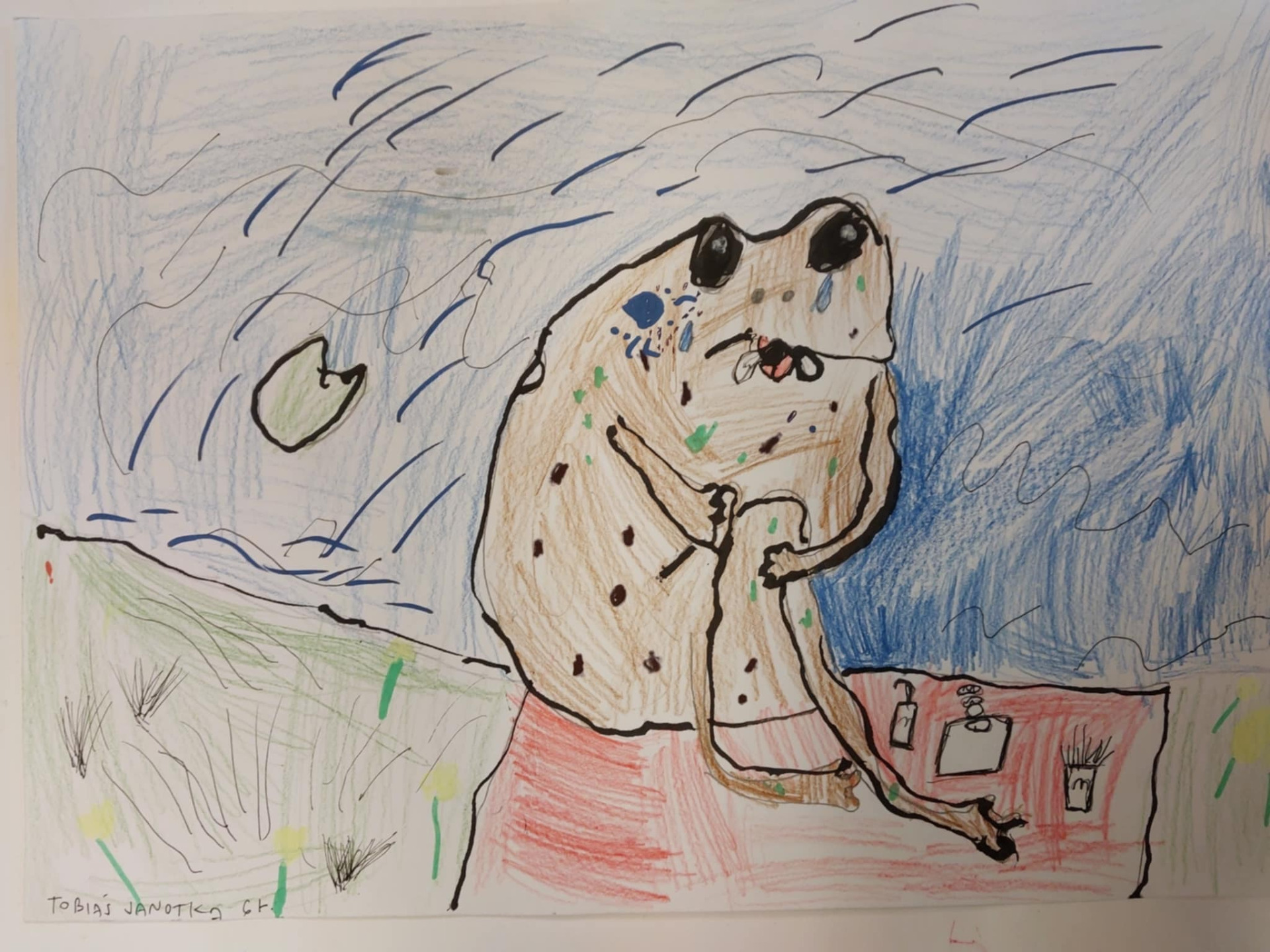 Tobiás Janotka 6r